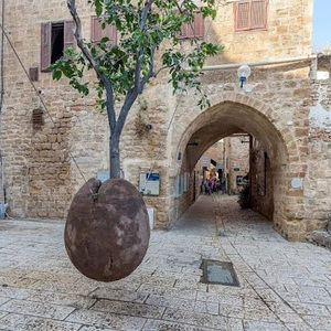 Meet your Posher, Leydis